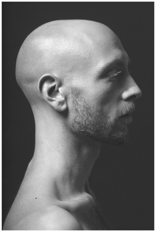 Main image Alien Dom, 2017