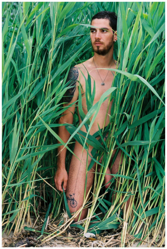 Main image Highgrass, 2013