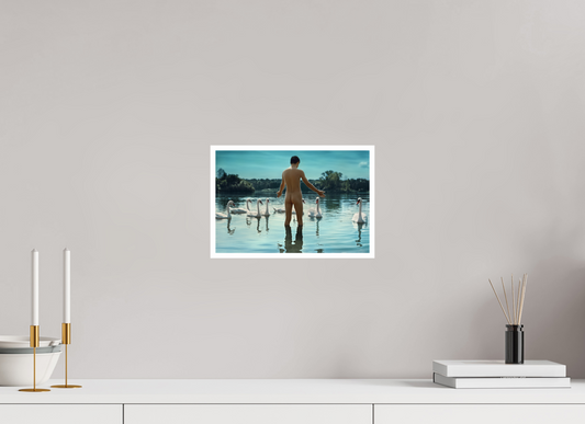 30 x 20 cm, Hahnemuehle fineArt Baryta Swan Lake, 2013