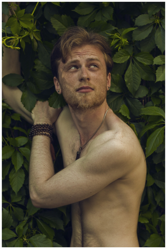Main image Demigod, 2013