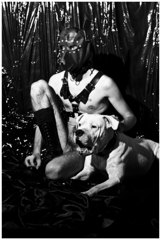 Main image Dog Tales, 2013