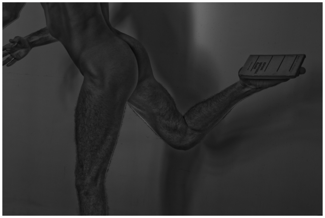 Main image Book Abstraction, 2013