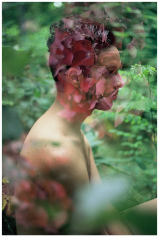 Main image Nature Brother, 2013