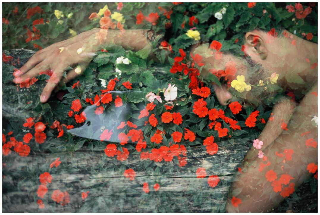 Main image Brother Nature, 2013