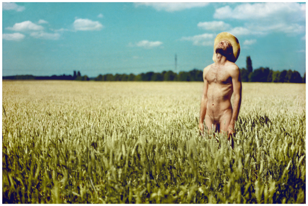 Main image Fields Road, 2014